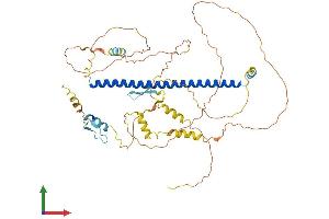 Protein Structure (PS) image for Activating Transcription Factor 2 (ATF2) (AA 1-505) protein (His tag) (ABIN7552536)