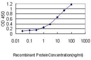 Detection limit for recombinant GST tagged USF1 is approximately 0. (USF1 抗体  (AA 1-310))