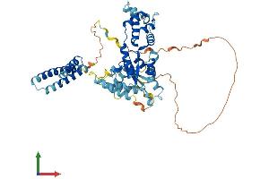 Protein Structure (PS) image for Katanin P60 Subunit A-Like 1 (KATNAL1) (AA 1-488) protein (His tag) (ABIN7559445)