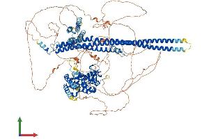 AlphaFold protein structure predicition of Human Recombinant ARHGAP29 Protein, UniprotID Q52LW3
