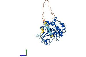 Protein Structure (PS) image for ST3 beta-Galactoside alpha-2,3-Sialyltransferase 2 (ST3GAL2) (AA 1-350) protein (His tag) (ABIN7546092)