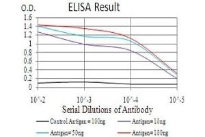 Black line: Control Antigen (100 ng), Purple line: Antigen(10 ng), Blue line: Antigen (50 ng), Red line: Antigen (100 ng), (HDAC2 抗体  (AA 217-327))