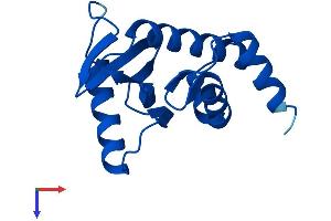 AP2S1 Protein (AA 1-142) (His tag)
