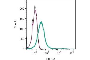 Cell surface detection of NHE7 by indirect flow cytometry in live intact human  MG glioma line: + goat-anti-rabbit-FITC.
