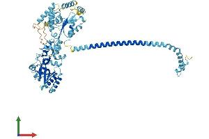 Protein Structure (PS) image for Adenylate Kinase 7 (AK7) (AA 1-614) protein (His tag) (ABIN7560912)