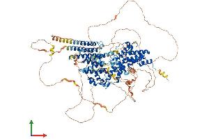 Protein Structure (PS) image for Rap Guanine Nucleotide Exchange Factor (GEF) 1 (RAPGEF1) (AA 1-1077) protein (His tag) (ABIN7555281)