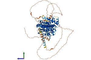 Protein Structure (PS) image for Protein Tyrosine Phosphatase Domain Containing 1 (PTPDC1) (AA 1-754) protein (His tag) (ABIN7551110)