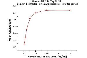 ELISA image for TEK Tyrosine Kinase, Endothelial (TEK) (AA 23-748) (Active) protein (Fc Tag) (ABIN6992355)