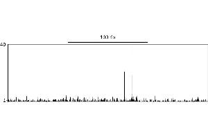 ChIP DNA-Sequencing (ChIP-seq) image for anti-Tumor Protein P53 (TP53) (AA 50-100) antibody (ABIN7454600)