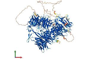 Protein Structure (PS) image for Cleavage and Polyadenylation Specific Factor 1, 160kDa (CPSF1) (AA 1-1441) protein (His tag) (ABIN7565028)