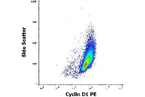 Flow cytometry intracellular staining pattern of HUVEC cells stained using anti-Cyclin D1 (DCS-6) PE antibody (concentration in sample 15 μg/mL). (Cyclin D1 抗体  (AA 1-295) (PE))