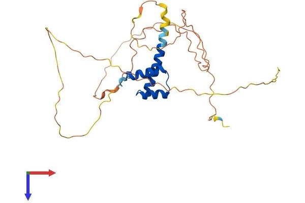 Nanog Protein (AA 1-305) (His tag)