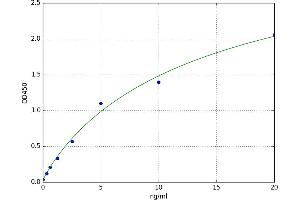 A typical standard curve (CAPN1 ELISA 试剂盒)