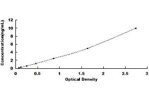 Typical standard curve (GPR78 ELISA 试剂盒)