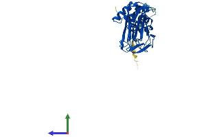AlphaFold protein structure predicition of Mouse Recombinant Fbxo27 Protein, UniprotID Q6DIA9