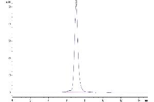 Size-exclusion chromatography-High Pressure Liquid Chromatography (SEC-HPLC) image for Natural Killer Cell Cytotoxicity Receptor 3 Ligand 1 (NCR3LG1) (AA 25-262) protein (Fc Tag) (ABIN7273963)