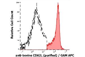 Separation of bovine CD62L positive lymphocytes (red-filled) from CD62L negative lymphocytes (black-dashed) in flow cytometry analysis (surface staining) of bovine peripheral whole blood stained using anti-bovine CD62L (IVA94) purified antibody (concentration in sample 1 μg/mL) GAM APC. (L-Selectin 抗体)