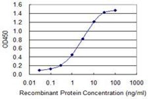 Detection limit for recombinant GST tagged FGG is 0. (FGG 抗体  (AA 31-130))