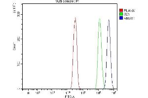 Flow Cytometry analysis of SiHa cells using anti-RNGTT antibody (ABIN7599723).