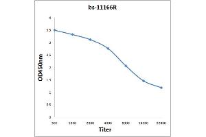 ELISA image for anti-Sortilin-Related Receptor, L(DLR Class) A Repeats Containing (SORL1) (AA 2001-2100) antibody (ABIN1387514)
