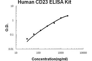ELISA image for Fc Fragment of IgE, Low Affinity II, Receptor For (CD23) (FCER2) ELISA Kit (ABIN6720323)