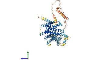 AlphaFold protein structure predicition of Human Recombinant SLC35F4 Protein, UniprotID A4IF30