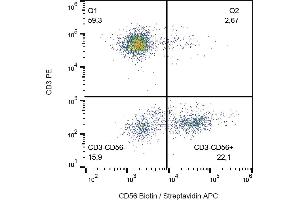Flow cytometry analysis (surface staining) of human peripheral blood lymphocytes with anti-CD56 (MEM-188) biotin, streptavidin-APC. (CD56 抗体  (Biotin))