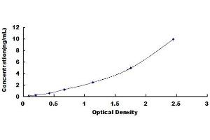 Typical standard curve (CISD1 ELISA 试剂盒)