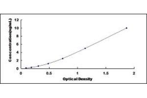 Typical standard curve (DUSP5 ELISA 试剂盒)