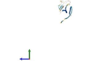 Protein Structure (PS) image for Coiled-Coil Domain Containing 46 (CCDC46) (AA 1-955) protein (His tag) (ABIN7553408)