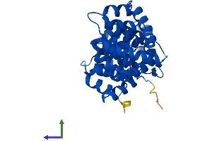 Protein Structure (PS) image for Annexin A10 (ANXA10) (AA 1-324) protein (His tag) (ABIN7552291)