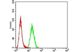 Flow cytometric analysis of Hela cells using *** mouse mAb (green) and negative control (red). (DNM2 抗体  (AA 520-744))