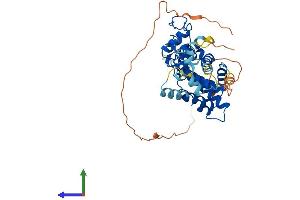 AlphaFold protein structure predicition of Mouse Recombinant Nr2f1 Protein, UniprotID Q60632