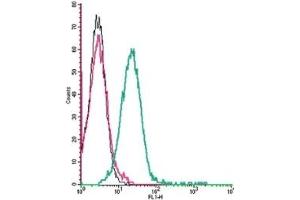 Cell surface detection of Corticotropin-releasing factor receptor 1 by indirect flow cytometry in live intact mouse P815 mastocytoma cells: (black line) Cells. (CRHR1 抗体  (Extracellular))