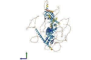 Protein Structure (PS) image for Potassium Voltage-Gated Channel, Subfamily H (Eag-Related), Member 8 (KCNH8) (AA 1-1102) protein (His tag) (ABIN7563473)
