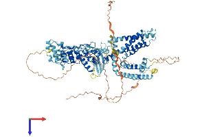 TRPV1 Protein (AA 1-839) (His tag)