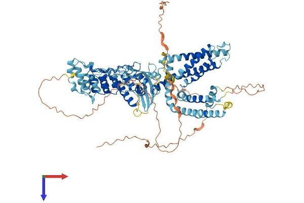TRPV1 Protein (AA 1-839) (His tag)