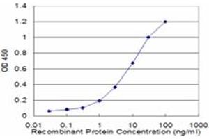 Detection limit for recombinant GST tagged NEUROD6 is approximately 0. (NEUROD6 抗体  (AA 191-290))