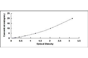 Typical standard curve (Desmoplakin ELISA 试剂盒)