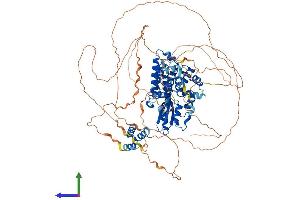 Protein Structure (PS) image for Cas-Br-M (Murine) Ecotropic Retroviral Transforming Sequence (CBL) (AA 1-913) protein (His tag) (ABIN7562971)