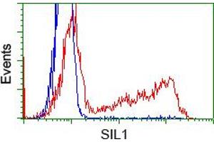 Image no. 1 for anti-Nucleotide Exchange Factor SIL1 (SIL1) antibody (ABIN1496810) (SIL1 抗体)