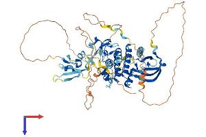 RAF1 Protein (AA 1-648) (His tag)