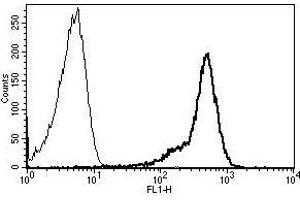 A typical staining pattern with the B-F24 monoclonal antibody of lymphocytes (CD44 抗体)