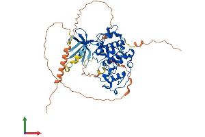 Protein Structure (PS) image for Cyclin-Dependent Kinase 14 (CDK14) (AA 1-469) protein (His tag) (ABIN7562332)