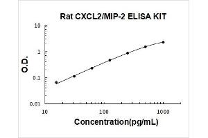 Rat CXCL2 PicoKine ELISA Kit standard curve
