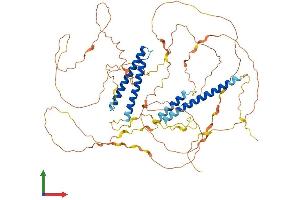 AlphaFold protein structure predicition of Human Recombinant CCDC120 Protein, UniprotID Q96HB5