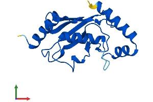 Protein Structure (PS) image for Ubiquitin-Conjugating Enzyme E2A (ube2a) (AA 1-152) protein (His tag) (ABIN7544916)