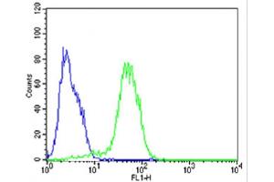 Flow cytometric analysis of HepG2 cells using (Mouse) Epcam Antibody (C-term)(green, Cat(ABIN6242229 and ABIN6577822)) compared to an isotype control of rabbit IgG(blue). (EpCAM 抗体  (C-Term))