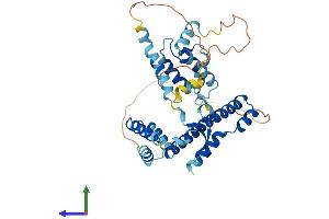 Protein Structure (PS) image for DnaJ (Hsp40) Homolog, Subfamily B, Member 12 (DNAJB12) (AA 1-376) protein (His tag) (ABIN7561791)