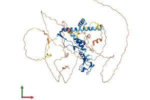 AlphaFold protein structure predicition of Mouse Recombinant Csrnp1 Protein, UniprotID P59054